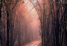 开云体育官网-亚特兰大之困：当实力遇见意志的鸿沟