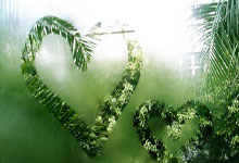 开云体育中国-苏宁主场大胜华夏，继续保持不败战绩