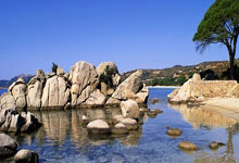 开云体育官网-诺坎普的魔术师之夜：梅西独中四元引爆巴萨史诗级逆转