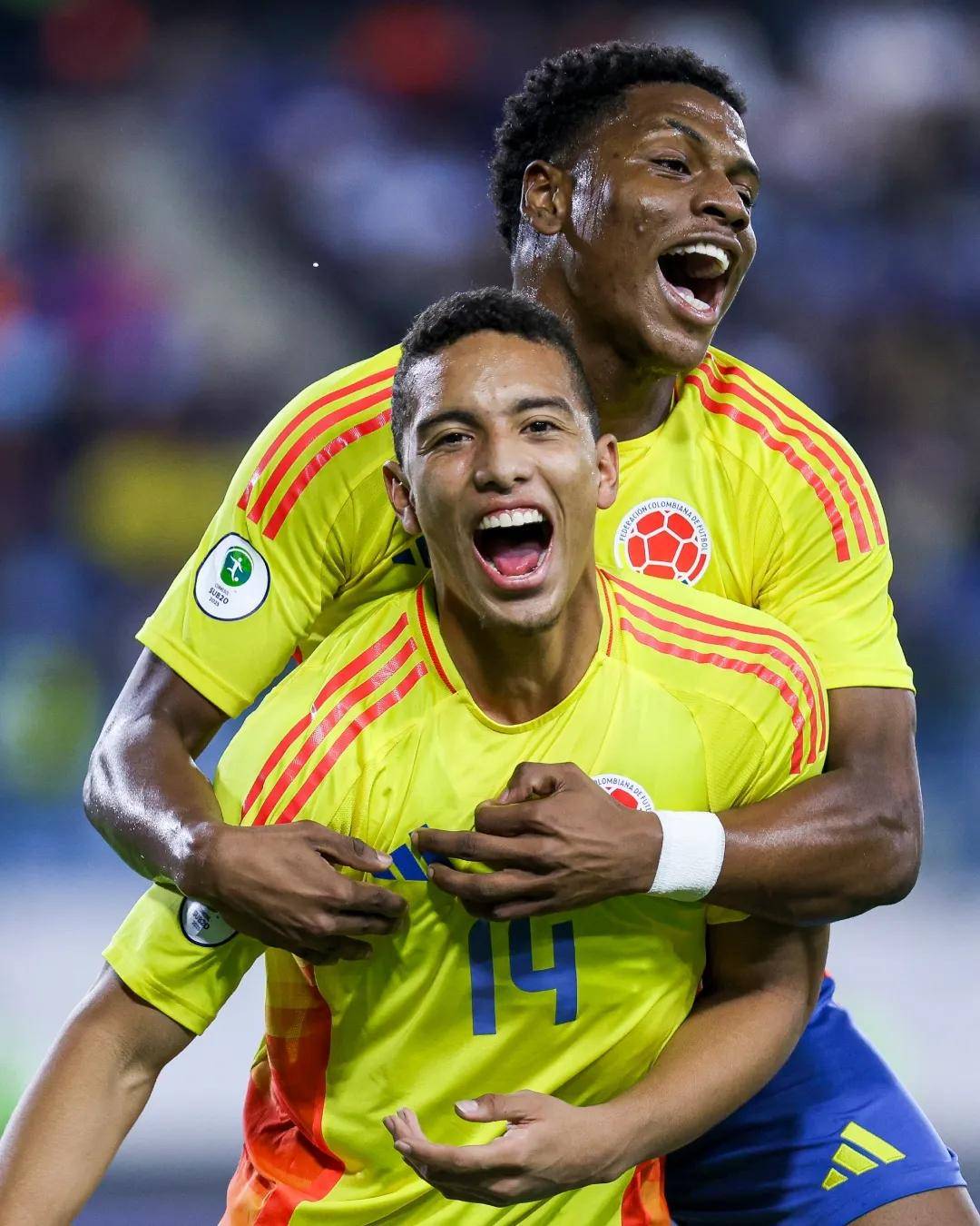 包含南美球队奋力对抗，绝不言败，力争进军淘汰赛的词条