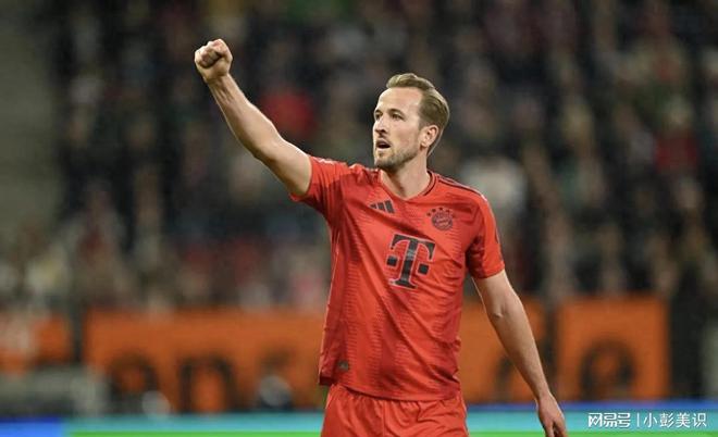 开云体育平台APP-汉堡队后卫因紧急伤病退出下场比赛