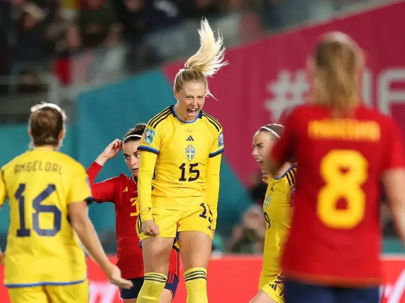 关于法国成功晋级：瑞典队被击败的信息