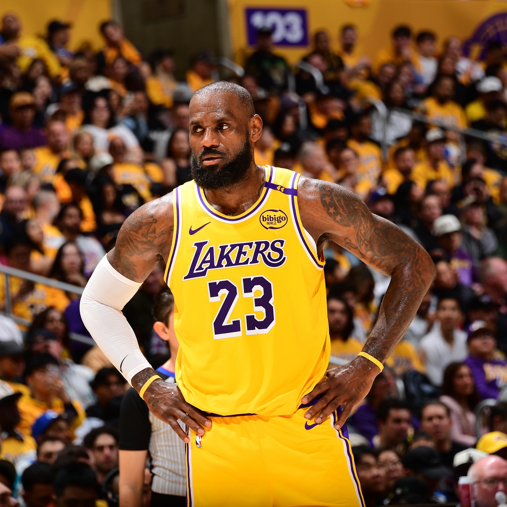 开云体育官方网站-关于今天的詹姆斯是谁？生涯第十次三双的信息