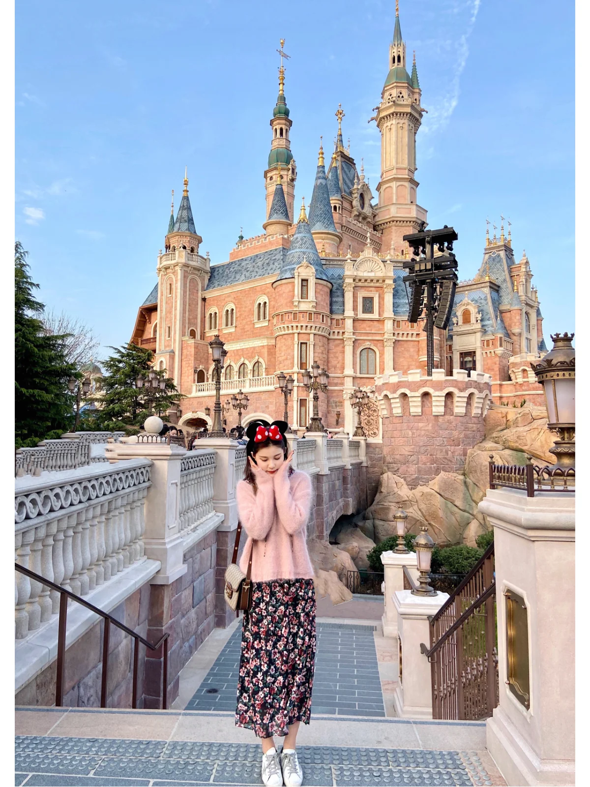 迪士尼队新赛季目标再上一个台阶的简单介绍