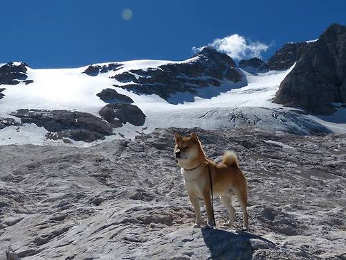 开云体育APP下载-巨人杀手诞生记，独行侠奇兵天降，年度焦点战击溃十一冠王广东