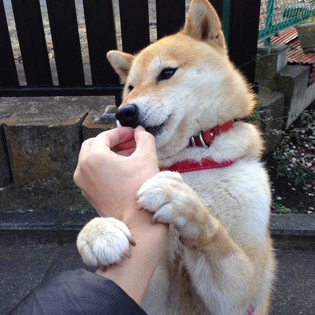 征服疆场,征服世界,浙江队制霸新疆队与拉梅洛的2026世界杯宣言