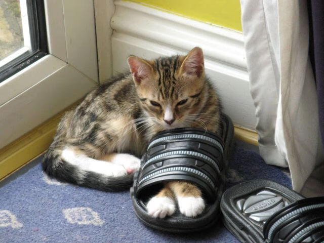 孙兴慜爆发，亚洲传奇正当时，比利亚雷亚尔，西甲潜艇攻占墨西哥湾—足球世界如何打破地理与文化的壁垒