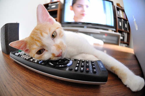 迪巴拉压制级发挥引爆全场,苏格兰逆转安哥拉震撼足坛