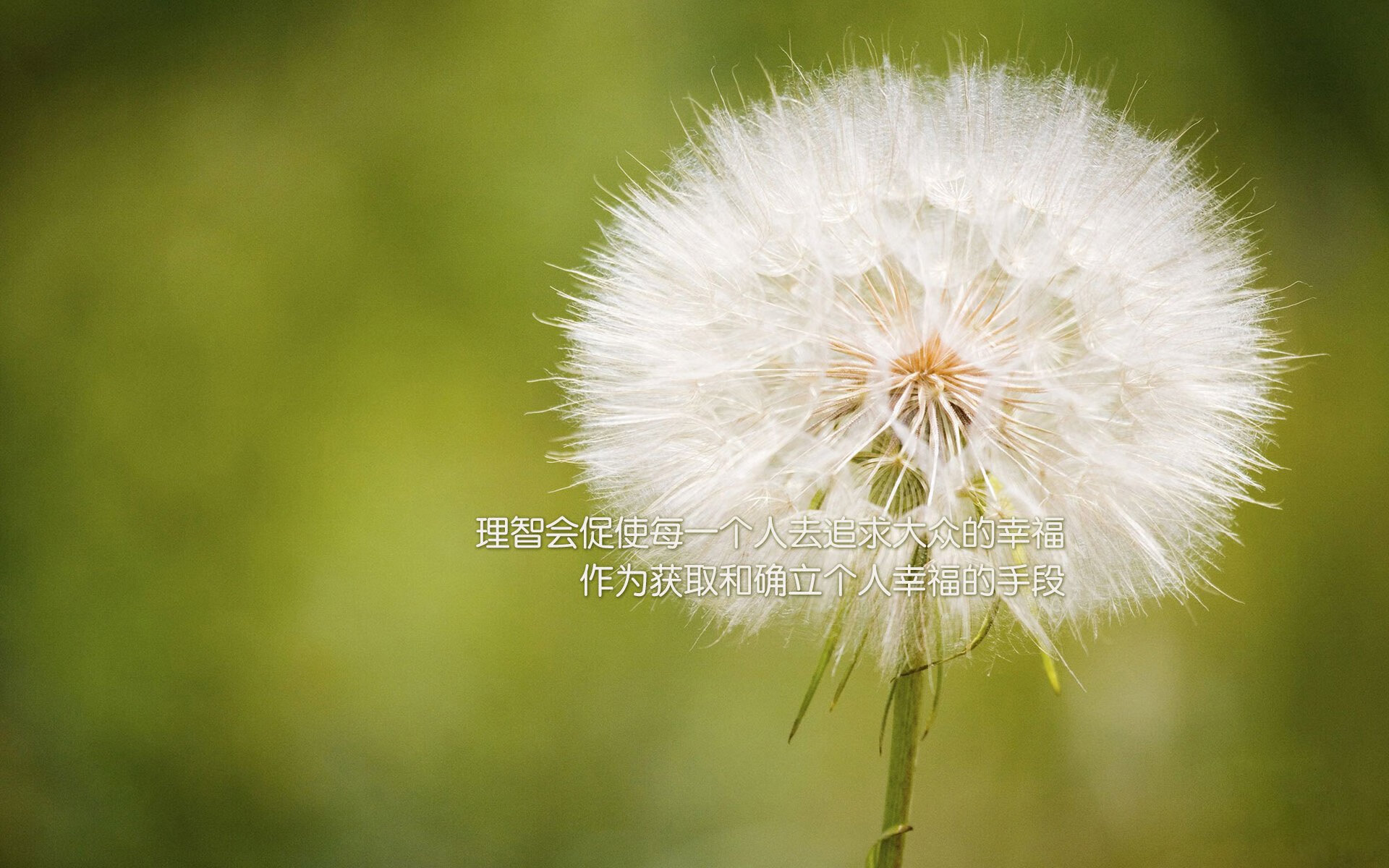 开云官网-希腊连续得分压制英格兰，萨拉赫关键先生定胜局