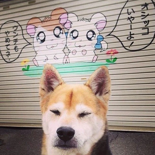 开云体育APP下载-七尺硬汉，一柱擎天，赖斯在抢七之夜的封神之路