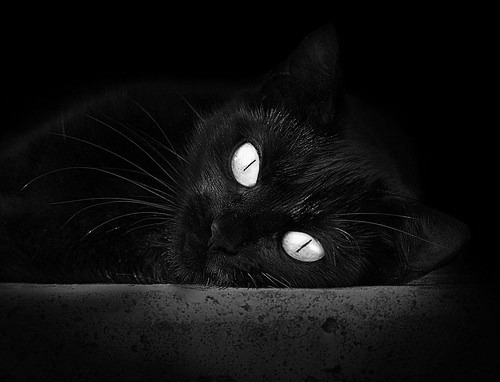 英雄黎明,萨拉赫一剑封喉,埃及驶入2026世界杯新纪元