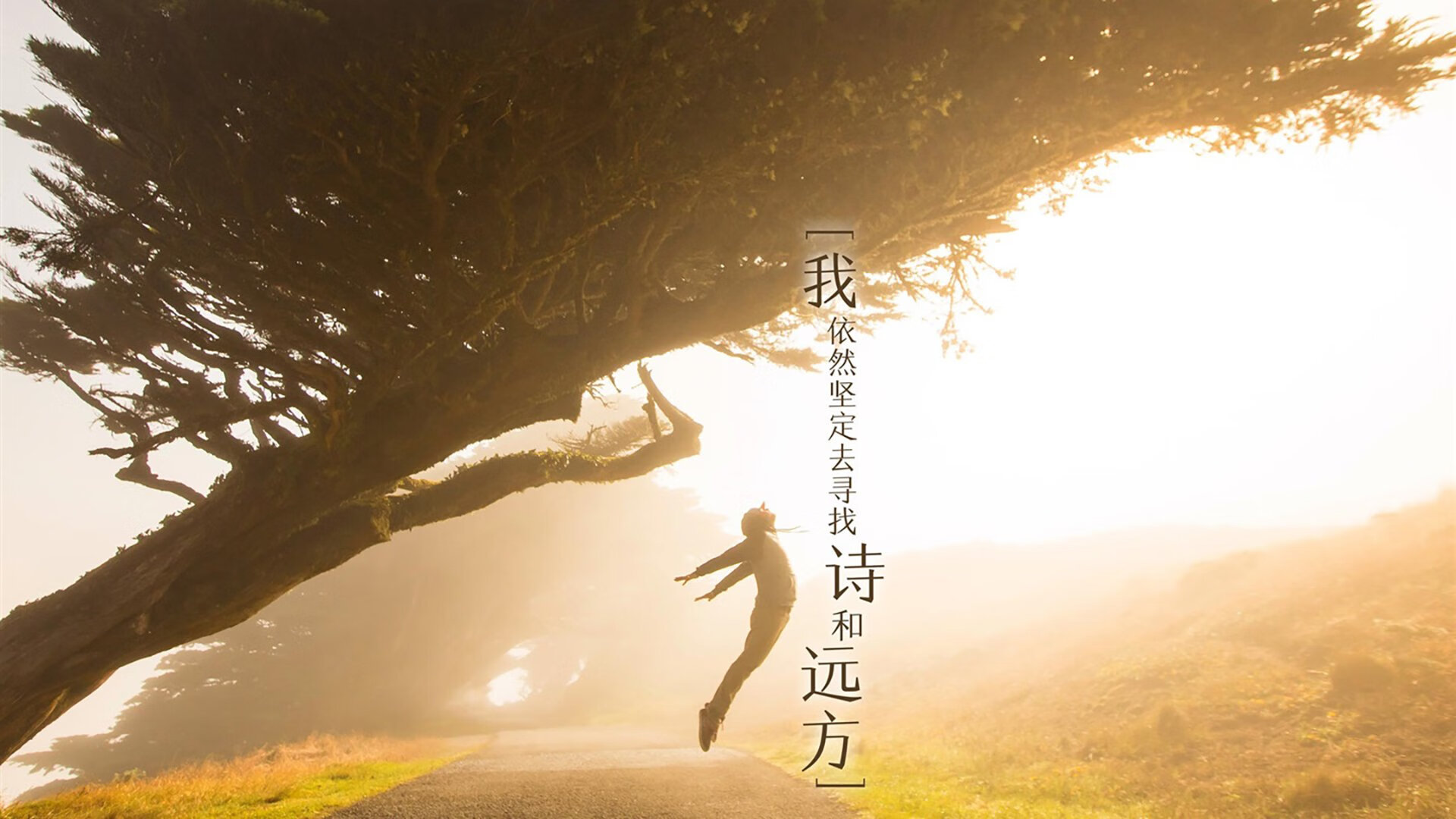 开云体育入口-哈弗茨关键一锤定音，新西兰闪电战击溃智利