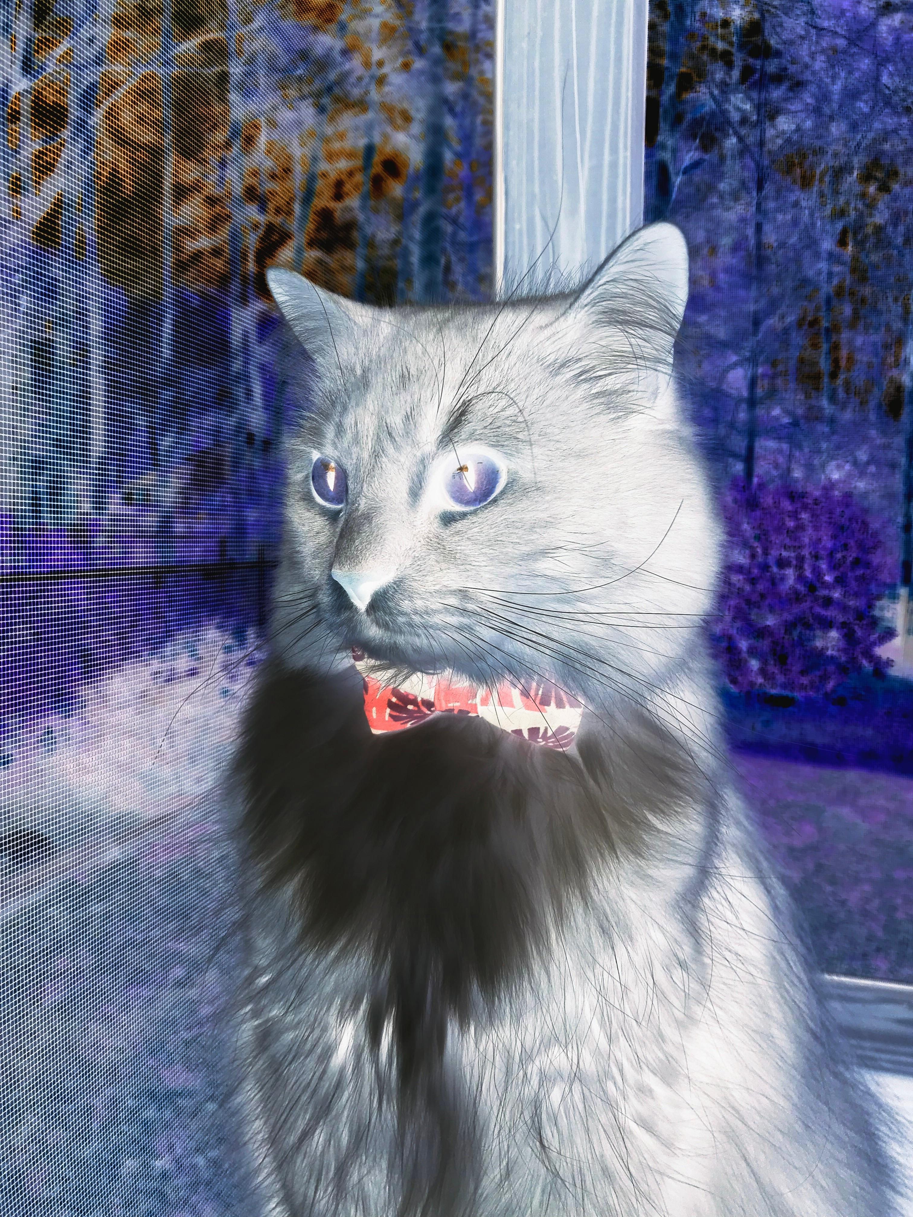 开云体育入口-逆转与主宰，当独行侠撼动山河，德罗赞将比赛纳入掌中